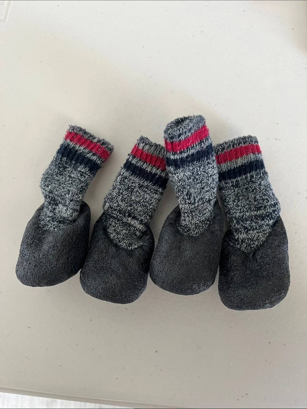 Dog Sock Booties